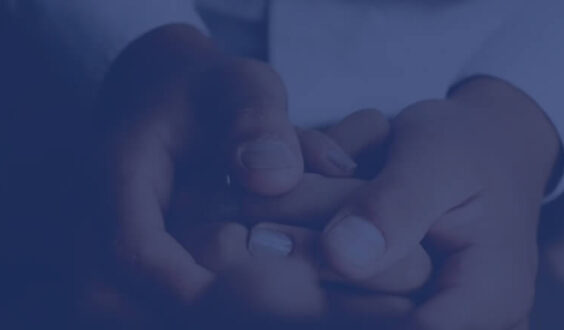 adult holding child's hand