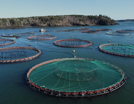 aquaculture infrastructure