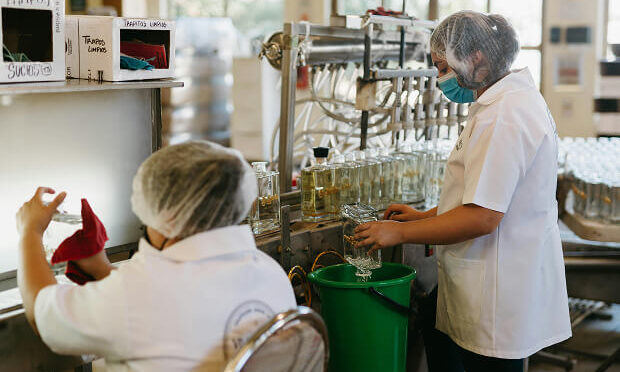 assembly line creating glass bottles
