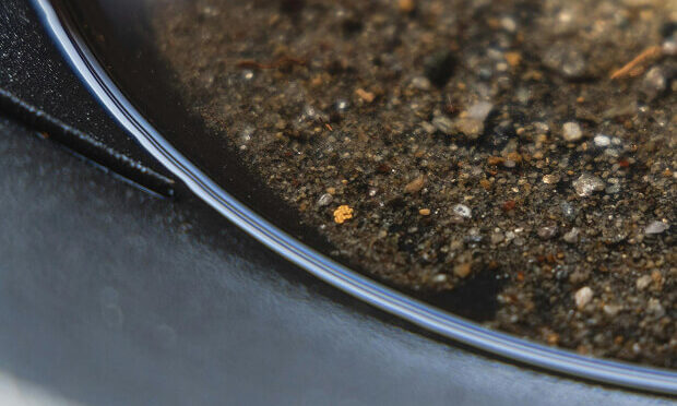 ore inside of container