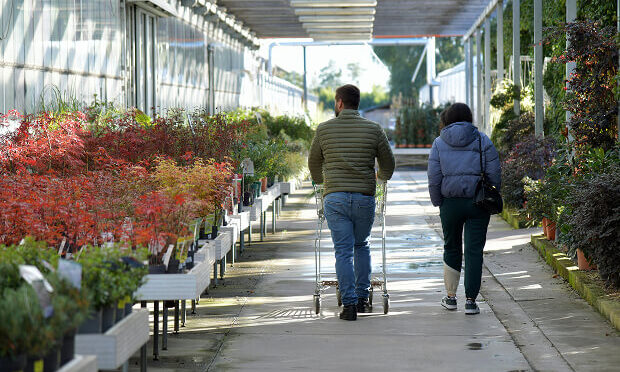 couple walking through garden center